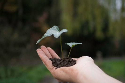 10 conseils pour réduire son empreinte écologique